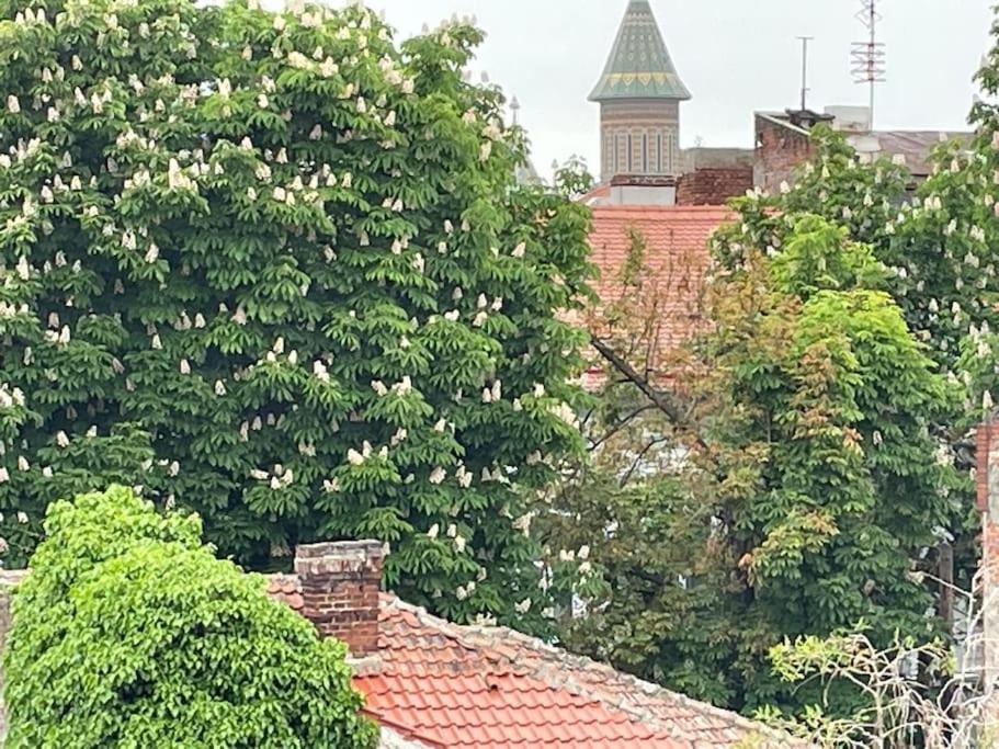 Central, Big Terrace, Near River Timisoara Exterior photo