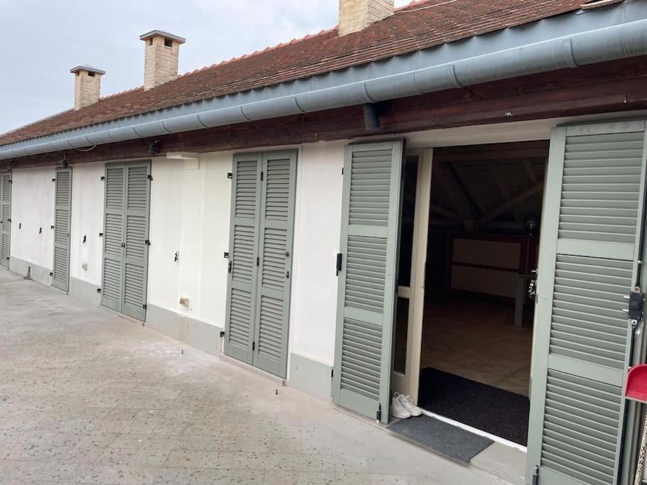 Central, Big Terrace, Near River Timisoara Exterior photo