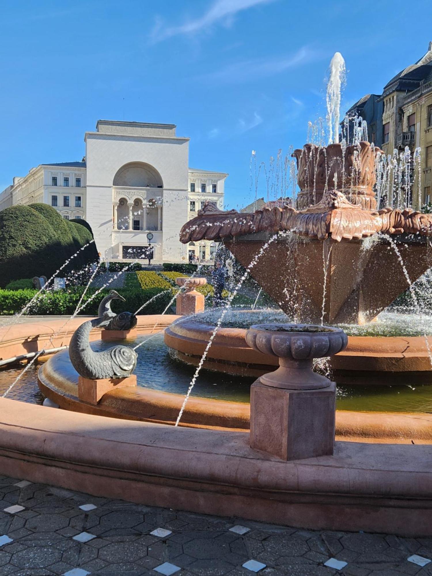 Central, Big Terrace, Near River Timisoara Exterior photo